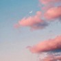 micco - dreary daze