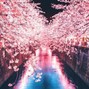 M.P Prod. - Tokyo Drift