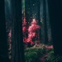 plantcham - forgive [frank ocean x experimental]