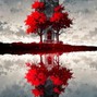Heavy Sedation  - under the tree + whymade..