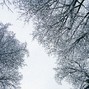 CHANNEL CHEN - Best Wishes