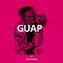 VFine Music - Guap