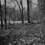 Jett Eckel - Memorial