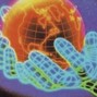 Trippie Flameboy - GLOBE