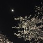 Sir Leo - TO THE MOON