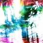 daru404 - in or out
