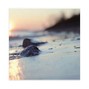 Mors  - Home