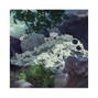 Mutt - BLURRY