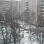 viiolet - 1111