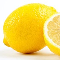 Zesty Beats