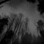 skellington - ♡︎ free sad alternative type beat "The Last Time"