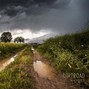 MASKED - Dirtroad