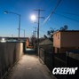 MusiQal Genius - Creepin' 