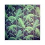 MVTTHEW - JUNGLE
