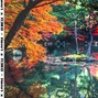 N3KO - fall.aiff