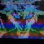 O - Obscure - Not exist