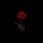 LEHAXI - ANGUISH
