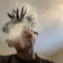 FlawlessBoy - GANG