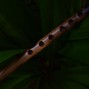 Don Rikx - Chilled flute 