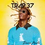 DanoeBeatz - TRAP 37