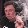 chrisfrmkro - musk