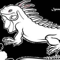 Iguanos Music