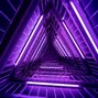 Hibrid[1] - Purple