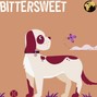 Showland Productions - Bittersweet (Instrumental)