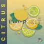 trevvybeats - Citrus Loop Kit