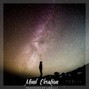 THR111 Records. - Mind Elevation