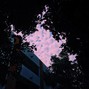 Xander Beats - STING