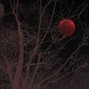 Justin Axelrode - BLOOD MOON
