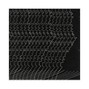 Noble Numen - Noble Numen - dark
