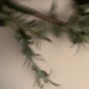 sedona - if we're honest