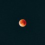 Nol. - Blood Moon