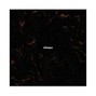 norson - ivory