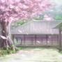 prod.inu - SAKURA 