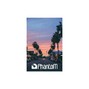 Phantommusic - Sunset - "Tyler The creator Type Beat"