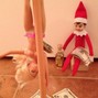 grant4ore - The Machismo Elf