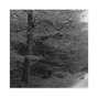 Ocxvn - Confusion