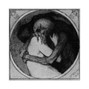 ocxvn666 - THRU OCXVN OF PAIN AND DESPAIR