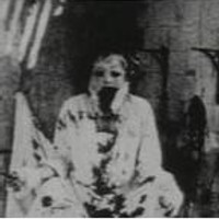 ocxvn666