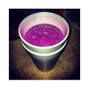 JackEL - Purple Cups