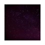JackEL - Falling Stars