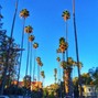 Tha Smoke - LA Sunsets