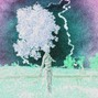 SAM ! - Emerald