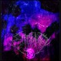 🖤EUCLXD🖤 - PINKWATERS