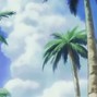 OKPARKER! - Summer Nights