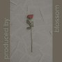 Blossom - Last Words