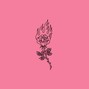 Tripzy Beats - Prada 